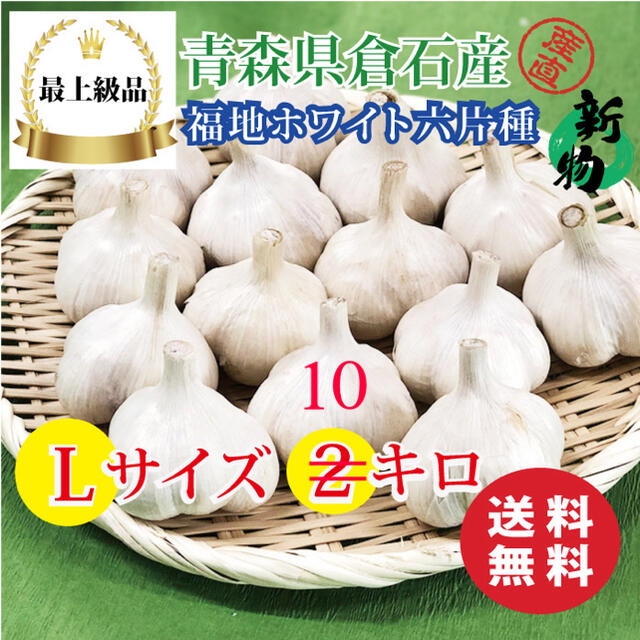 【最上級品】青森県倉石産にんにく福地ホワイト六片種Lサイズ 10kg