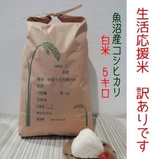 お米5kg 平成30年魚沼産コシヒカリ白米(米/穀物)