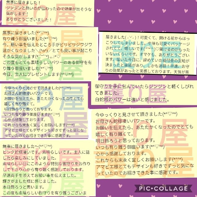 金運✨臨時収入✨蛇の抜け殻✨神璽印の御朱印✨白蛇のお守りAH