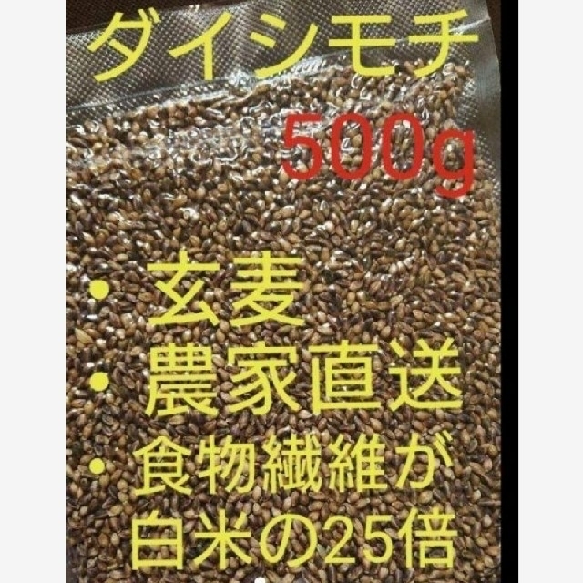 ダイシモチ 玄麦 食品/飲料/酒の食品(米/穀物)の商品写真