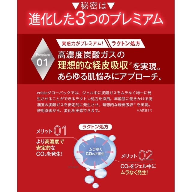 ローパック エニシーグローパック☆5回分☆炭酸ガスパック☆正規品