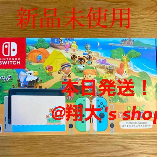 【新品】Nintendo Switch あつ森セット