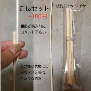 専用延長セットパンパスグラス　ドライフラワー　インテリア　ハンドメイド　花材(ドライフラワー)