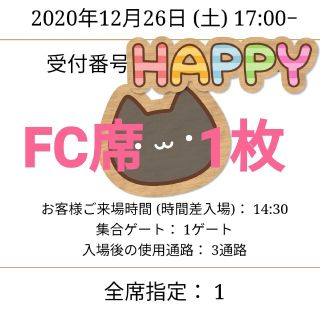 レペゼン地球　12月26日　チケット　1枚(国内アーティスト)