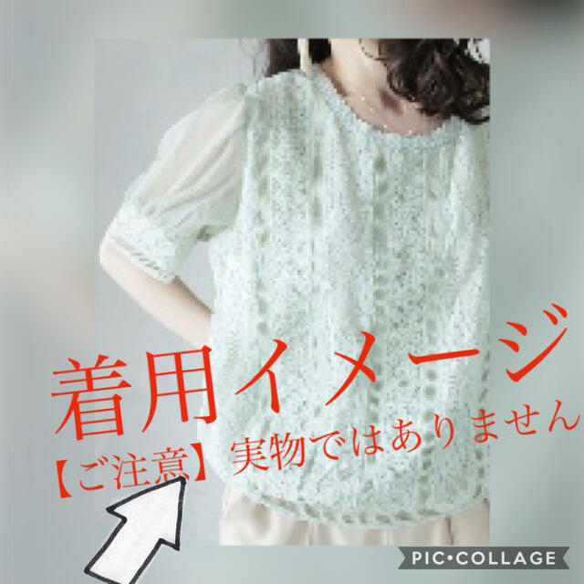 cawaii(カワイイ)の【美品】french pave フェミニンレーストップス（グリーン） レディースのトップス(シャツ/ブラウス(半袖/袖なし))の商品写真