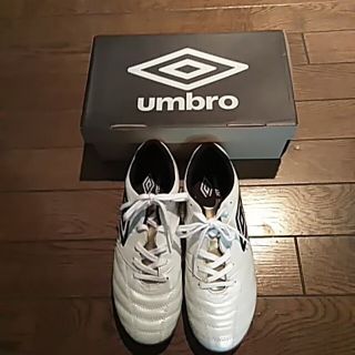 アンブロ(UMBRO)のumbro　アンブロ　フットサルシューズ　24㌢(シューズ)