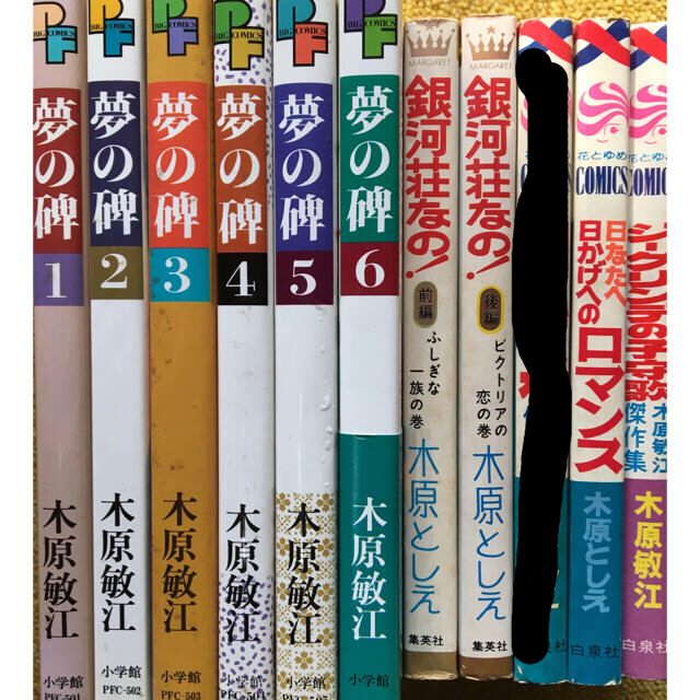 【夢の碑など】木原敏江単行本10冊セット