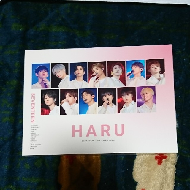 SEVENTEEN 2019 JAPAN TOUR 'HARU'