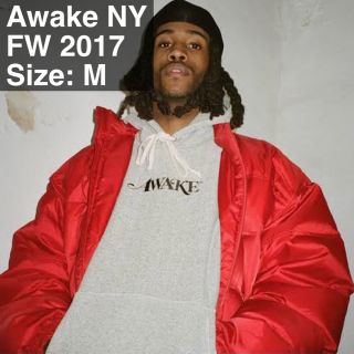 アウェイク(AWAKE)のAwake NY Classic Logo Hoodie M(パーカー)