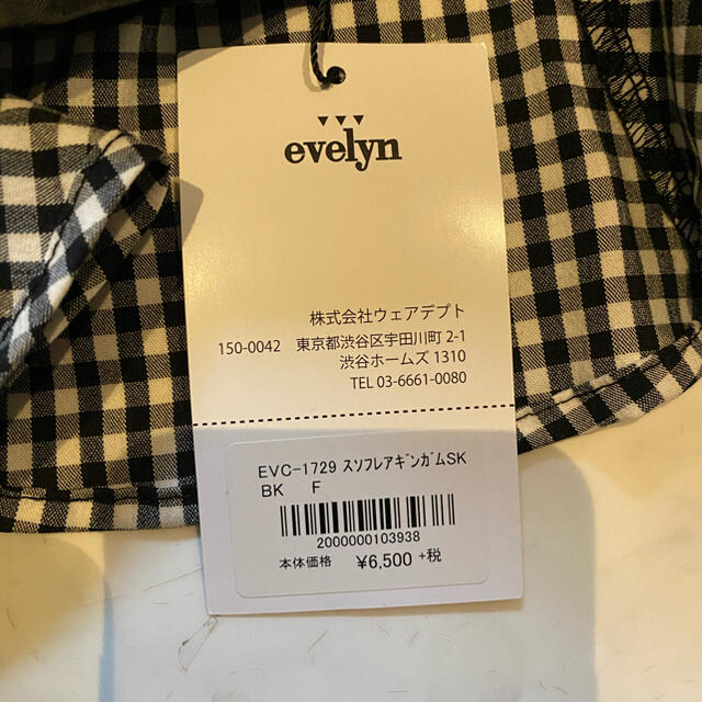 evelyn(エブリン)のギンガムチェック裾フレアスカート レディースのスカート(ミニスカート)の商品写真