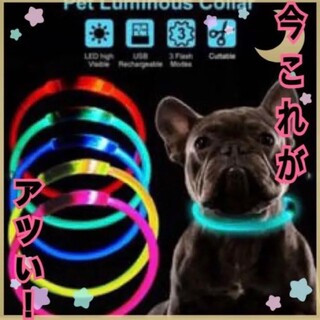70 レッド　LED首輪　犬用品　猫用品　お散歩グッズ(リード/首輪)