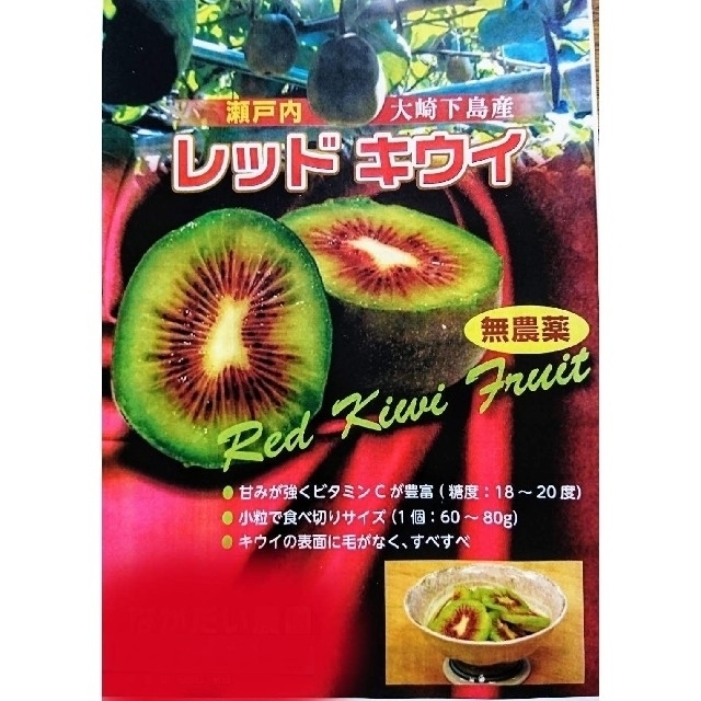 【期間限定値下げ！】無農薬！キウイフルーツ【レッドキウイ】特大サイズ８個 食品/飲料/酒の食品(フルーツ)の商品写真