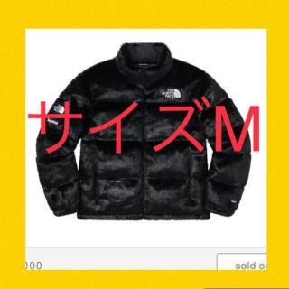 シュプリーム(Supreme)のM 新品 supreme tnf コラボ ダウン ❤ バックパック マウンテン(ダウンジャケット)