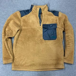 ザノースフェイス(THE NORTH FACE)のノースフェイスUS企画フリースUSED美品サイズM(その他)