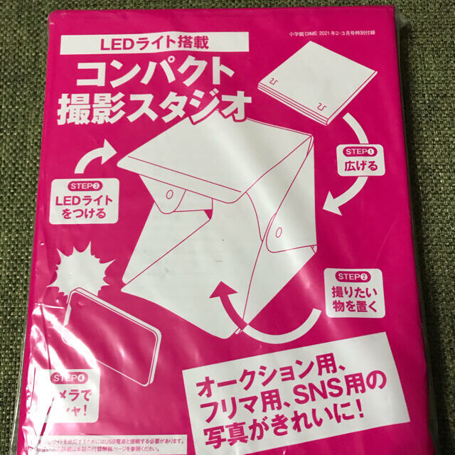 小学館(ショウガクカン)のお値下げ　DIME 2.3号特別付録 エンタメ/ホビーの雑誌(その他)の商品写真