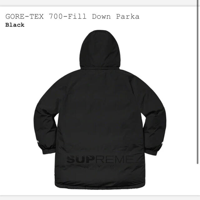 Supreme(シュプリーム)のSUPREME GORE-TEX 700fill Down Parka Lサイズ メンズのジャケット/アウター(ダウンジャケット)の商品写真