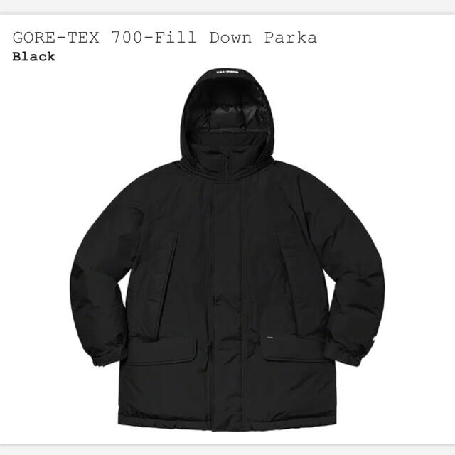 Supreme(シュプリーム)のSUPREME GORE-TEX 700fill Down Parka Lサイズ メンズのジャケット/アウター(ダウンジャケット)の商品写真