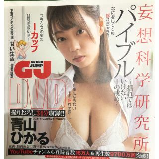 甘い生活30周年記念特別付録DVD青山ひかるパイブル〜揺れてはいけない十の戒め〜(アイドル)