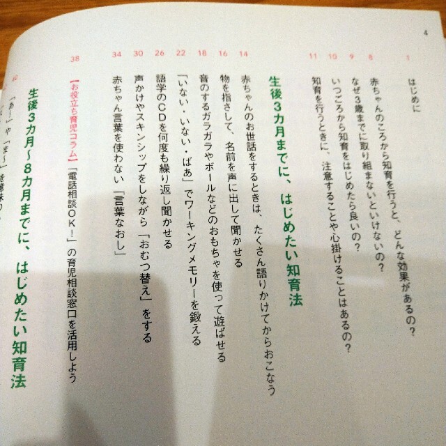 ３歳までにやっておきたい育児法ベスト３０ 子どもの才能を伸ばす話題の知育法が一冊 エンタメ/ホビーの雑誌(結婚/出産/子育て)の商品写真