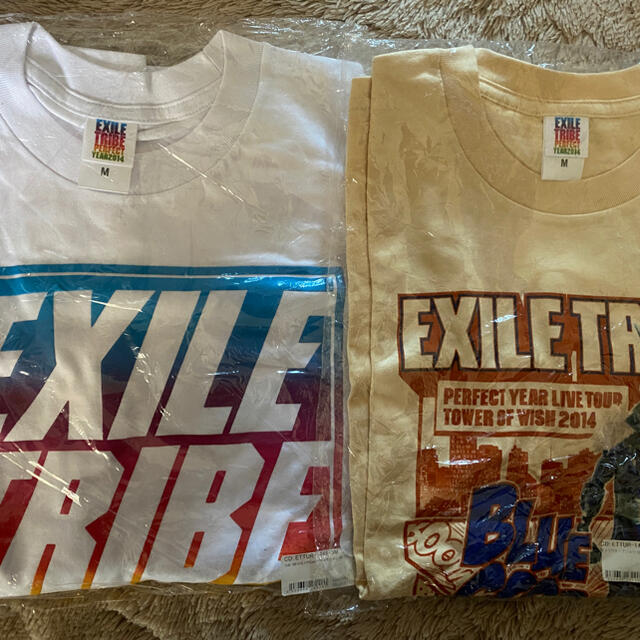 perfect year 2014 EXILE TRIBE Tシャツ2枚セット | フリマアプリ ラクマ