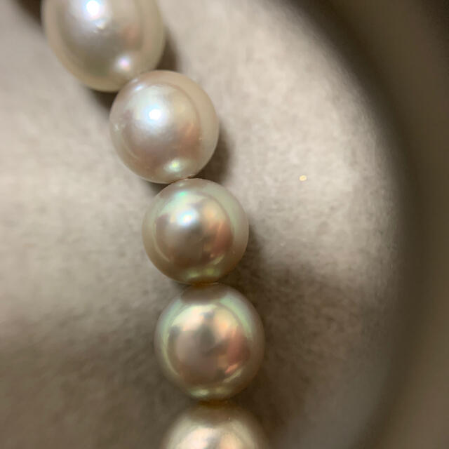 アコヤ真珠 グレー ネックレス6.5〜7.0mm bisericamesia.ro