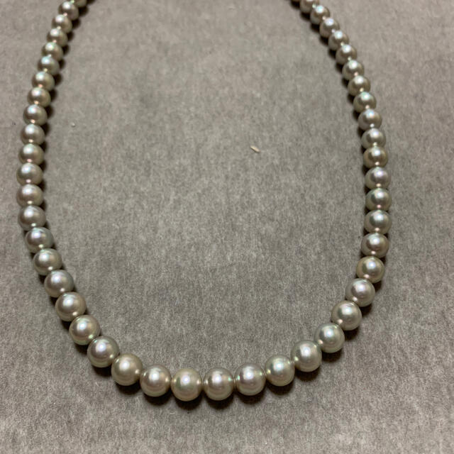 アコヤ真珠 グレー ネックレス6.5〜7.0mm bisericamesia.ro