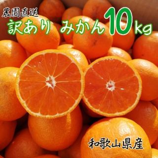 【農園直送】和歌山産みかん 訳あり10㎏(フルーツ)