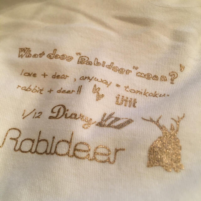 Tシャツ　Rabidear チュニック  新品未使用　セレクトショップ購入 レディースのトップス(チュニック)の商品写真