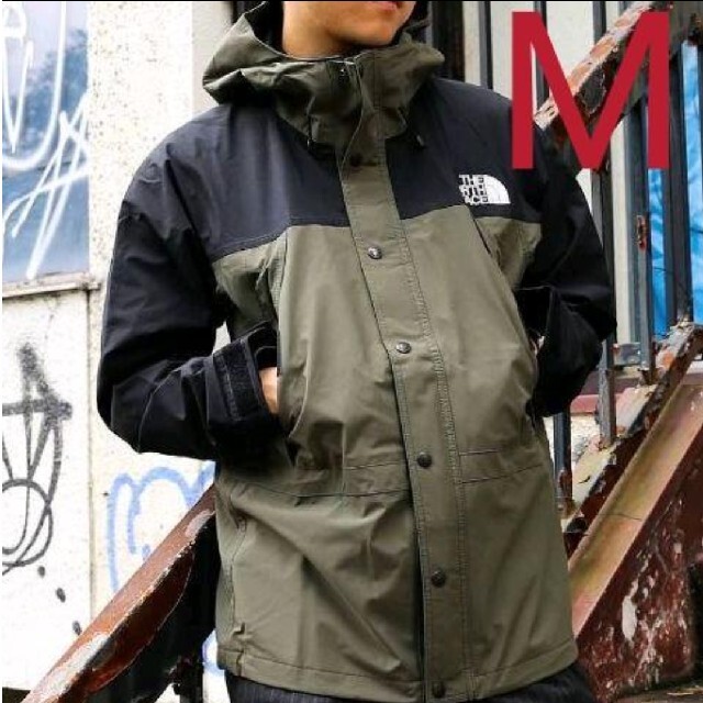 THE NORTH FACE MOUNTAIN LIGHT JACKET