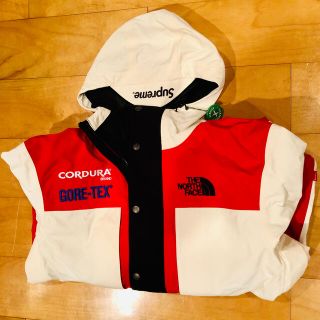 シュプリーム(Supreme)のSupreme the north face expedition (マウンテンパーカー)