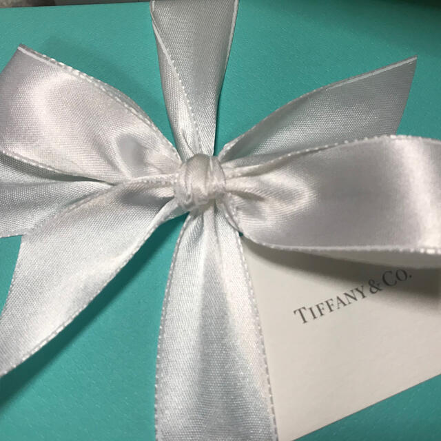 品BOX未開封　Tiffany レザースケジュール2021年版　Sサイズ 2