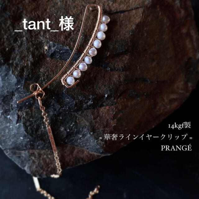 _tant_様専用 ハンドメイドのアクセサリー(ピアス)の商品写真