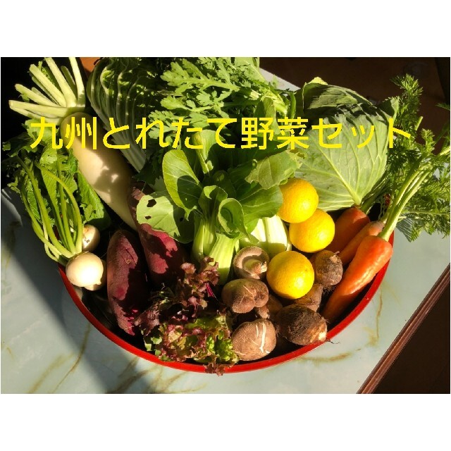 野菜詰め合わせ　100サイズ 食品/飲料/酒の食品(野菜)の商品写真