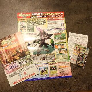 ポケモン(ポケモン)の劇場版 ポケットモンスター ココ 来場者特典(キャラクターグッズ)