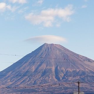 ke様(その他)