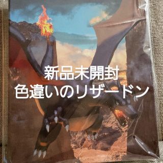 ポケモン(ポケモン)の新品未開封　コレクションファイル ポケモンカード ポケカ 色違いのリザードン(カードサプライ/アクセサリ)