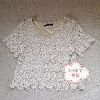 ヘザー(heather)の●【最終処分】heather 総レース カットソー（1/6までの掲載）(カットソー(半袖/袖なし))