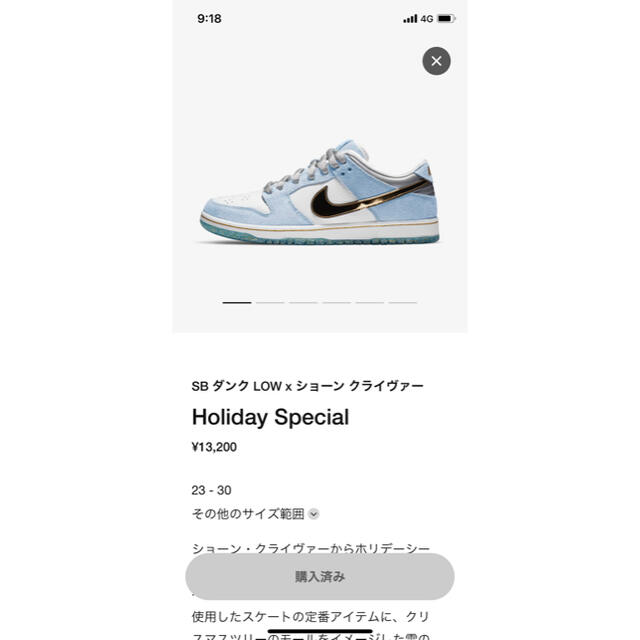 NIKE SB ダンク LOW×ショーンクライヴァー