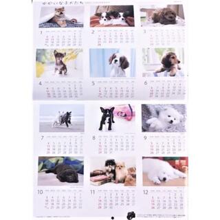 ソニー(SONY)の【送料無料】2021年 壁掛カレンダー『ゆかいな子犬たち』 ソニー生命(カレンダー/スケジュール)