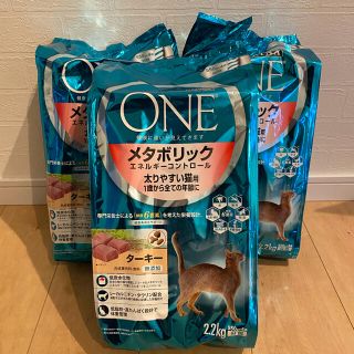 ネスレ(Nestle)の2.2kg×3袋　ピュリナワン メタボリック 1歳以上 ターキー ダイエット(ペットフード)