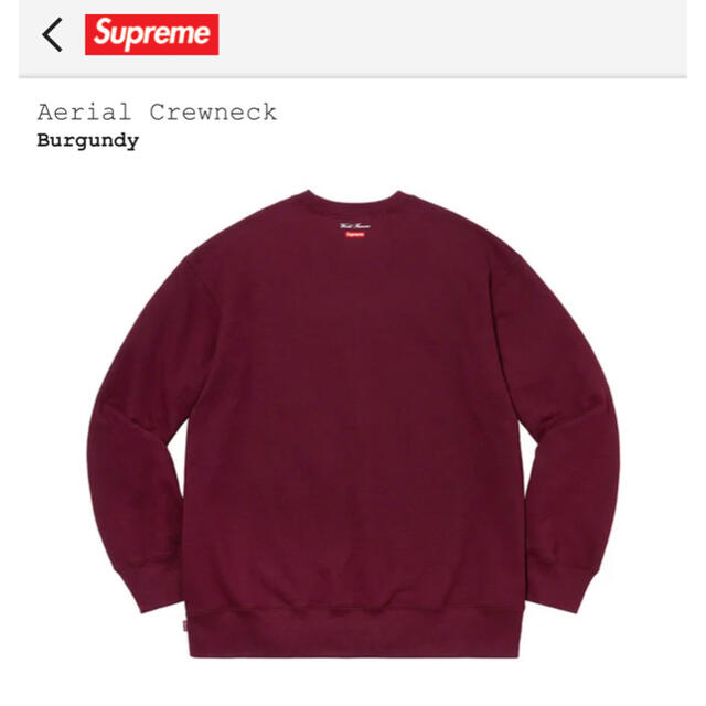 得価在庫あ】 Supreme - エアリアル aerial クルーネック crewneck