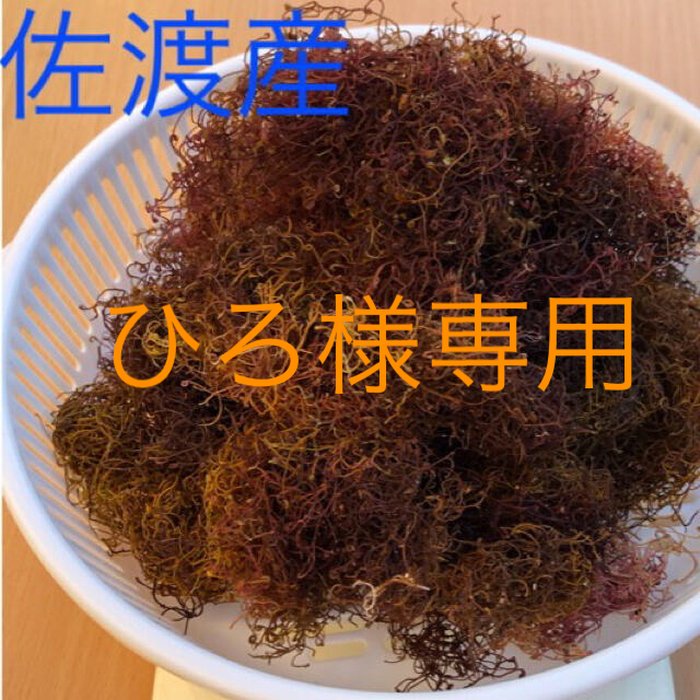 佐渡産　いご草　2kg     えご草　おきうと草