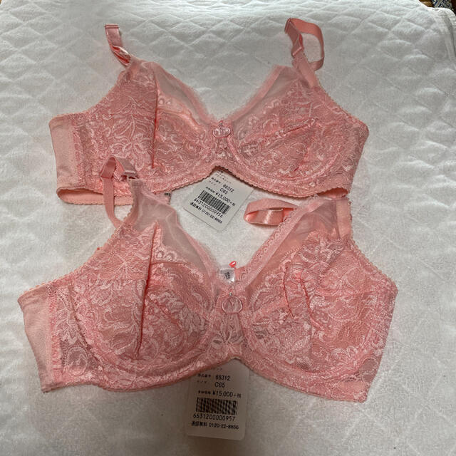 ダイアナ ブラジャー2枚セット 専用です gpibekklesiabali.org