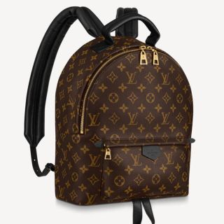 ルイヴィトン(LOUIS VUITTON)のルイヴィトン パームスプリングス バックパック MM(バッグパック/リュック)