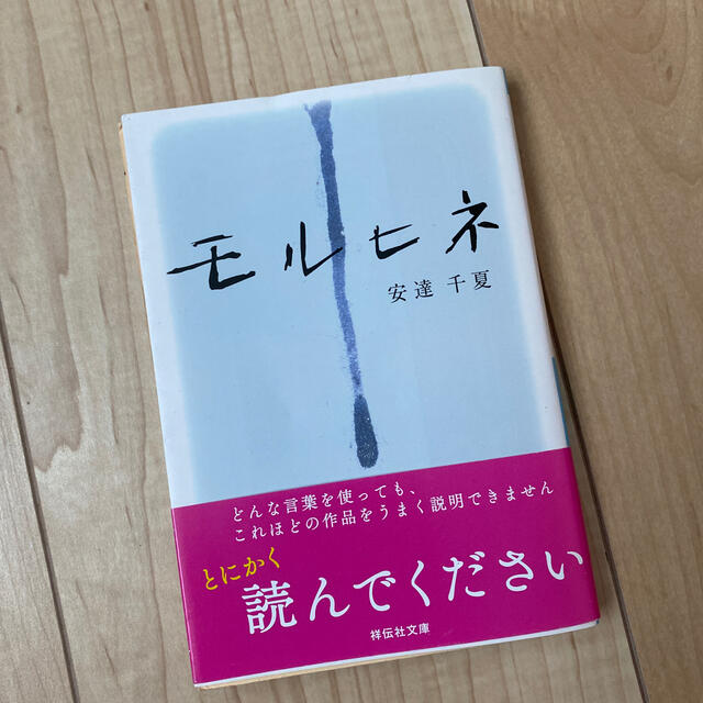 モルヒネ 長編恋愛小説 エンタメ/ホビーの本(文学/小説)の商品写真