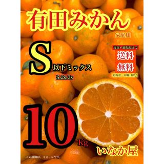 s以下ミックス　有田みかん　家庭用　セール　残り1点(フルーツ)