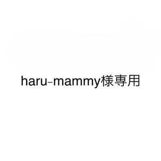 haru-mammy様専用(アイドルグッズ)