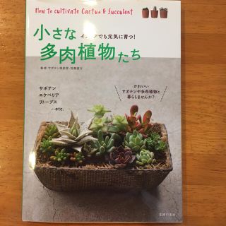 小さな多肉植物たち・多肉植物アレンジBOOK  2冊おまとめ(その他)