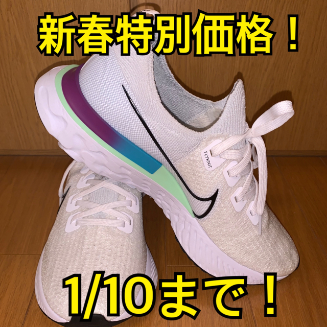 NIKE リアクトインフィニティラン　27.0cm