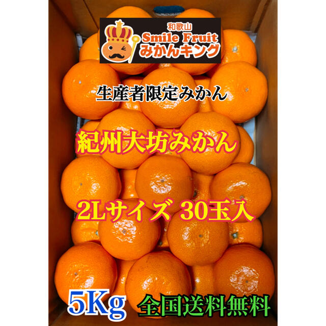 生産者 限定みかん 紀州大坊みかん 5Kg箱 2Lサイズ みかんキング 生産者 限定みかん 紀州大坊みかん 5Kg箱 2Lサイズ みかんキング